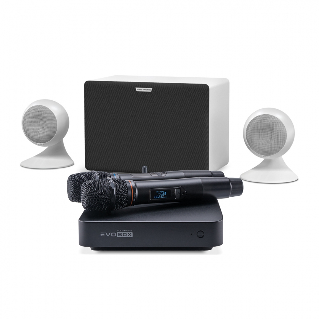 караоке-комплект EVOBOX Classic + EvoSound Sphere 2.1 в Санкт-Петербурге