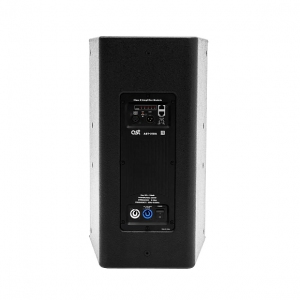 Активная акустическая система AST-310A в Санкт-Петербурге