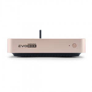 EVOBOX Plus караоке-система для дома в Санкт-Петербурге